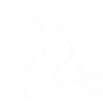 Düdükçüoğlu footer logo.